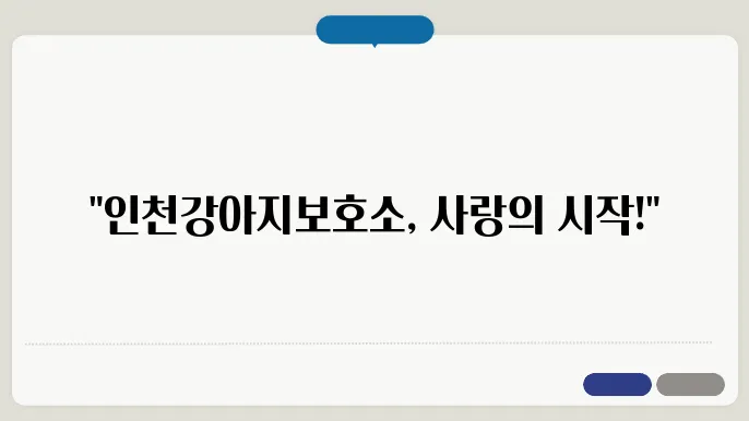 인천겄에서 새 공지하지
