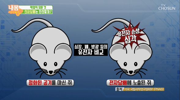  전자담배 안심해도될까?