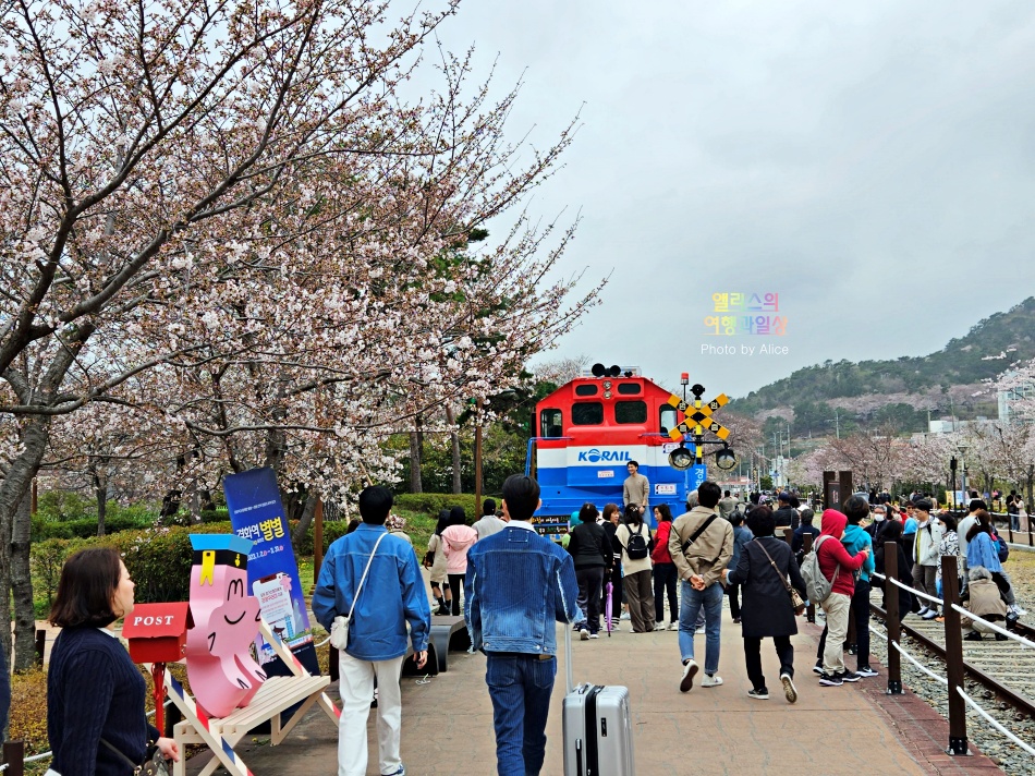 2023 진해 벚꽃 축제 군항제 임시 주차장 셔틀버스 추천코스