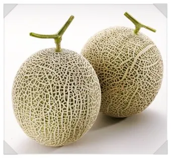 멜론 해지 서비스 중단 방법 안내 센터 해제법_6