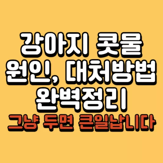 강아지-콧물
강아지-콧물-원인
반려견-콧물
개-콧물
강아지-기관지
강아지-호흡기
강아지-코막힘
강아지-코