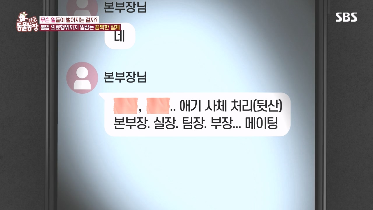 TV 동물농장.E1142.231023p-NEXT.mp4_20231022_172452.099.jpg
