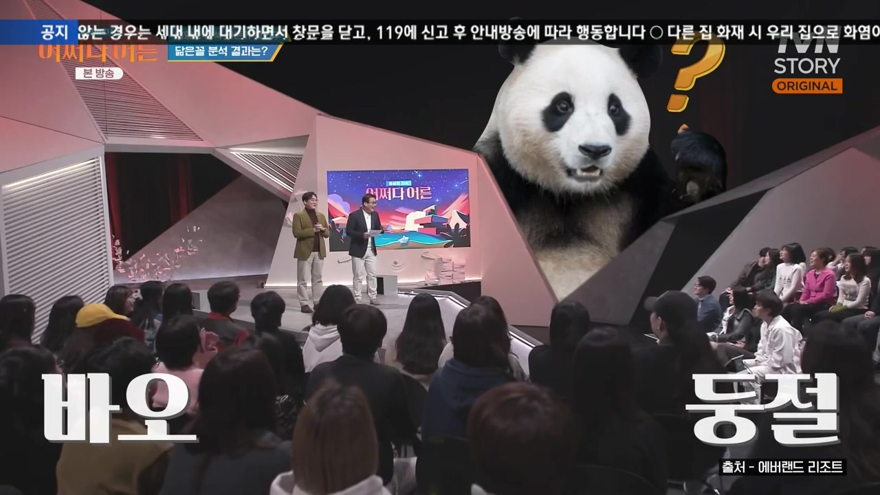 어쩌다 어른.E43.240214p-NEXT.mp4_20240214_200438.409.jpg