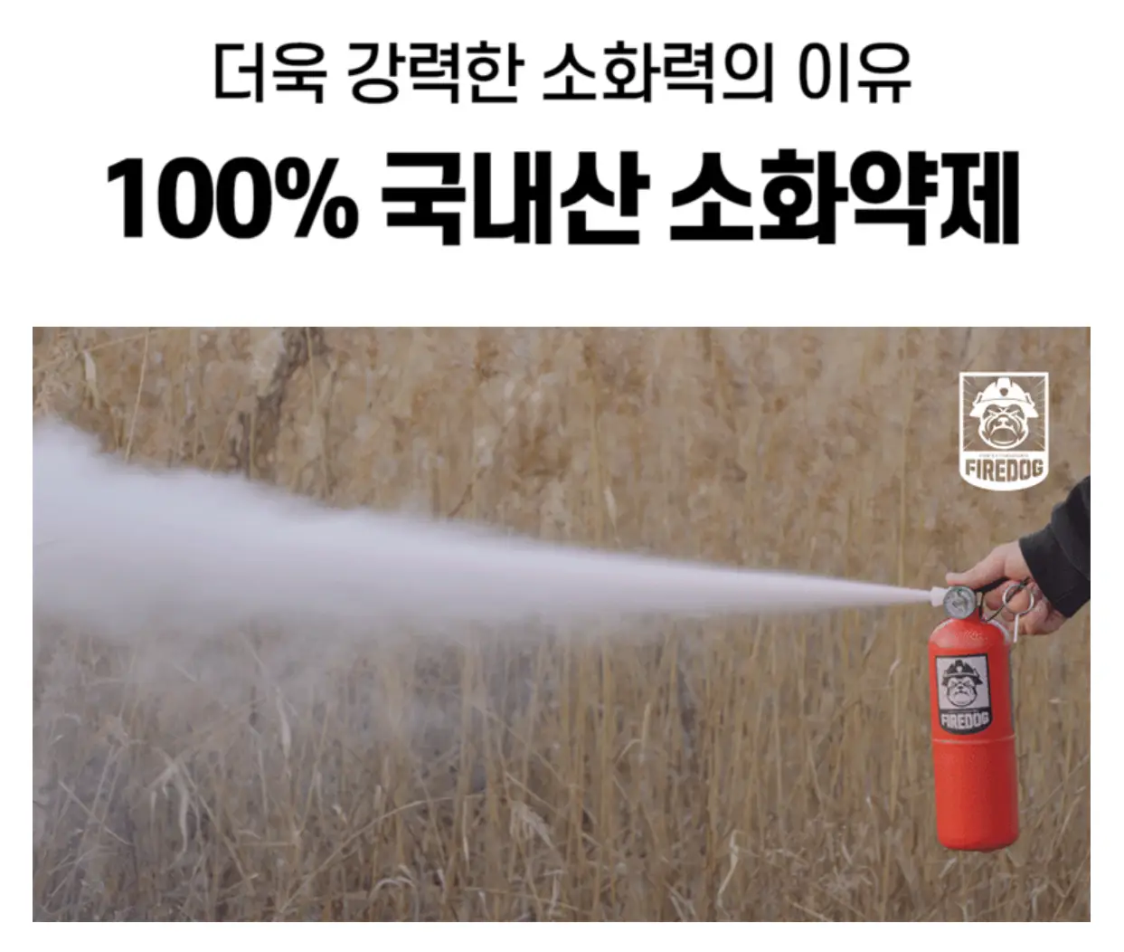 사진13