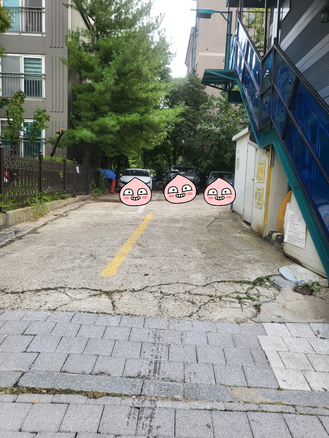 봉화칼국수 사진 6