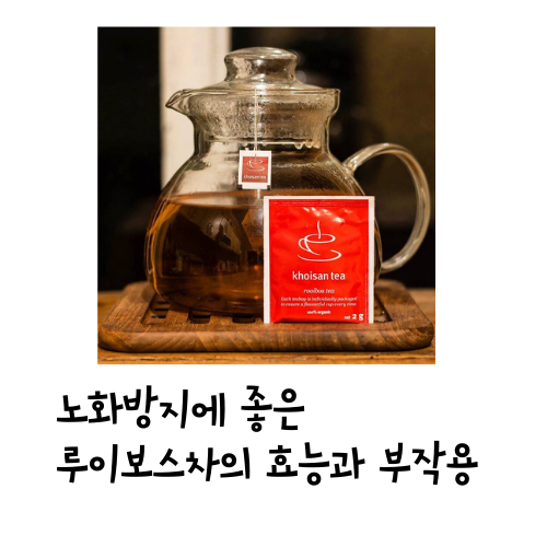  루이보스차의 대표적인 효능과 부작용