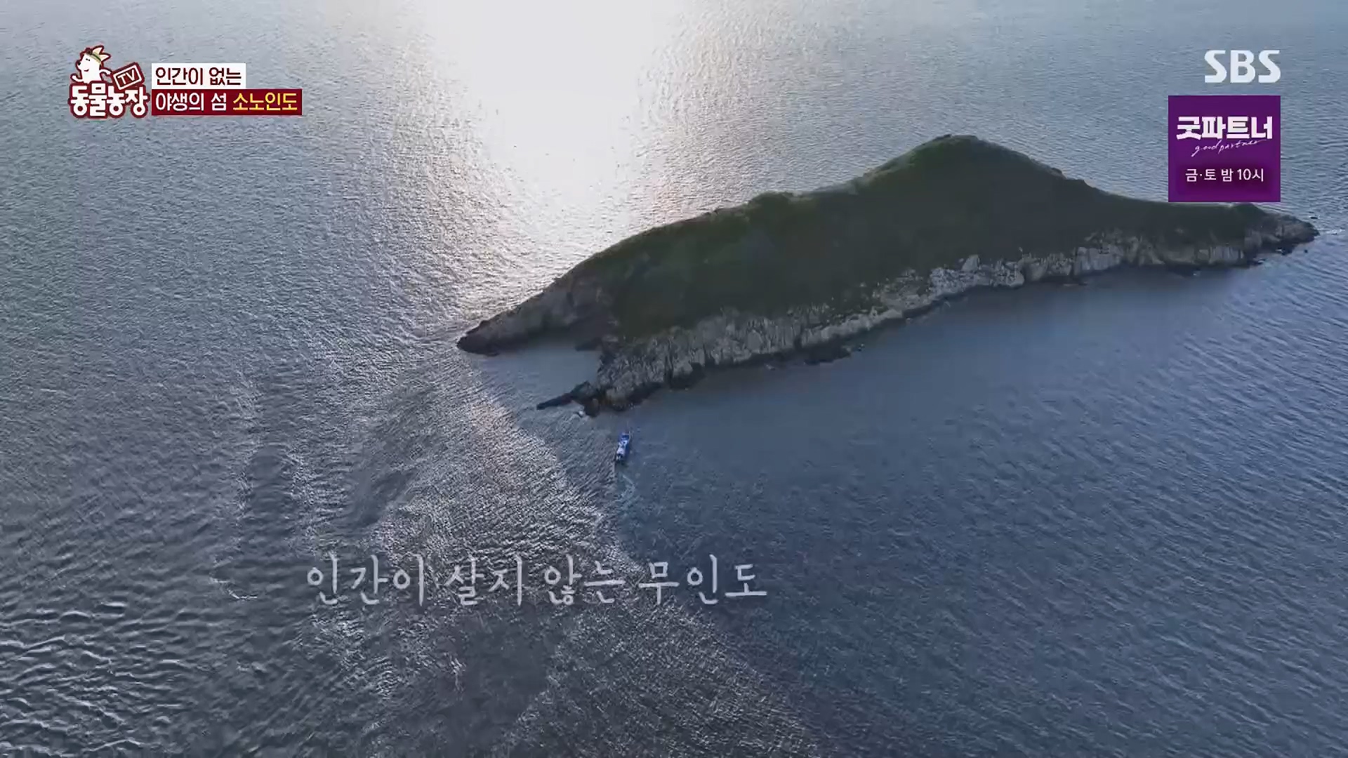 TV 동물농장.E1180.240714p.H264-F1RST.mp4_20240715_201727.732.jpg