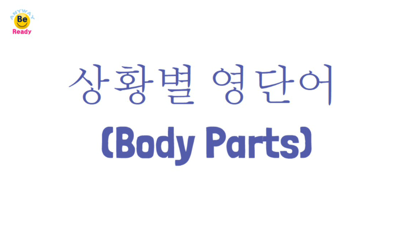 상황별영단어-Body-Parts