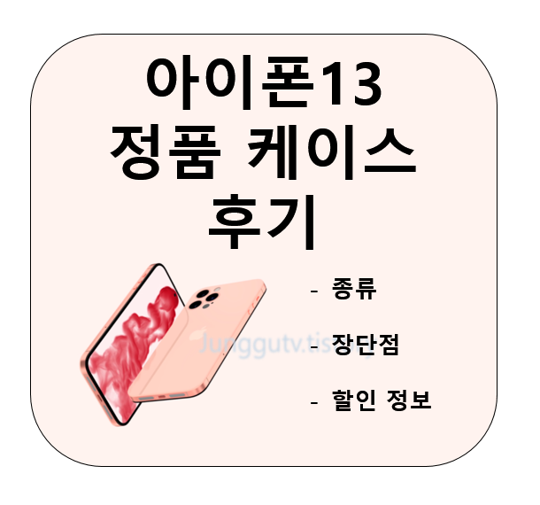 아이폰13-정품-케이스-후기