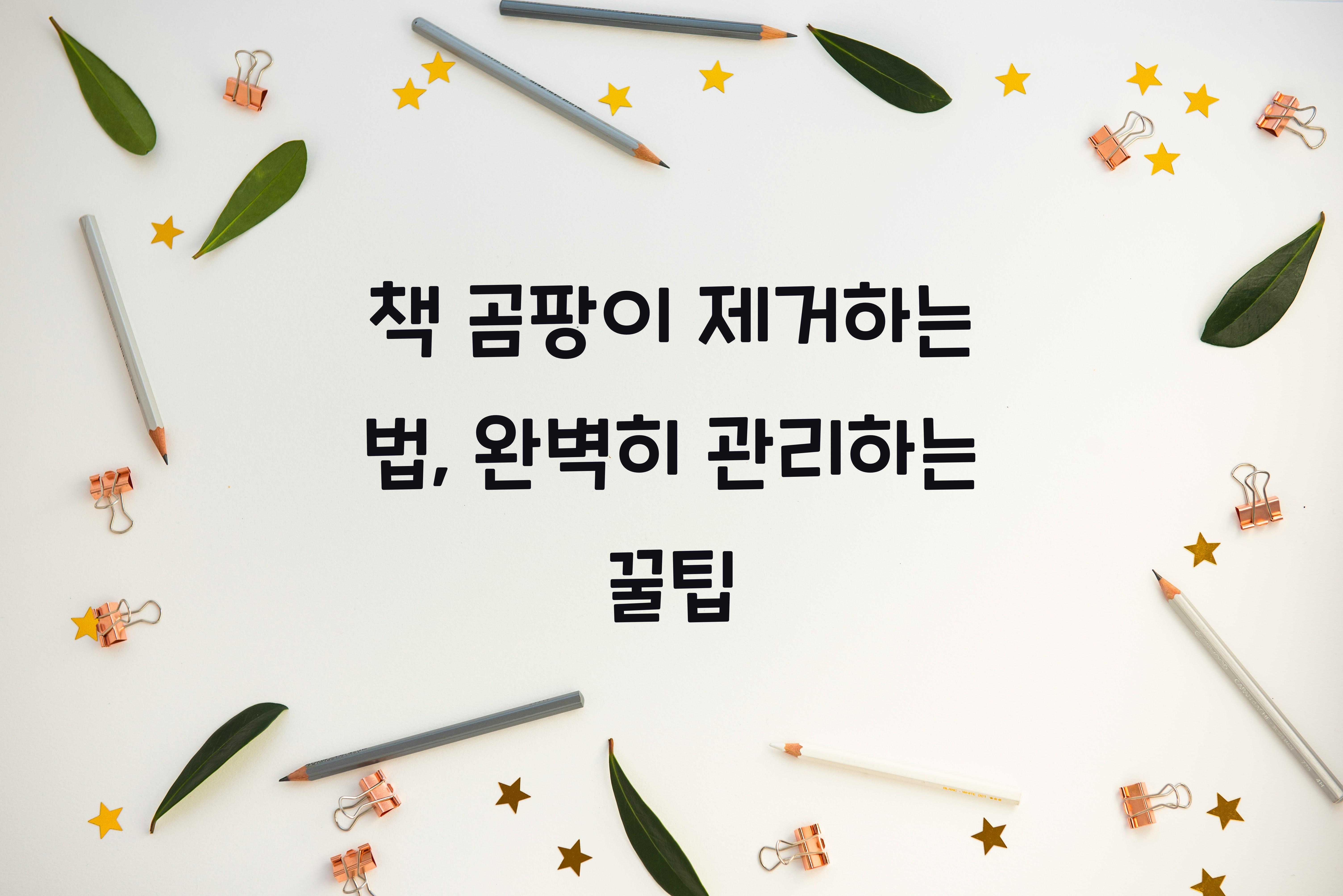 책 곰팡이 제거하는 법