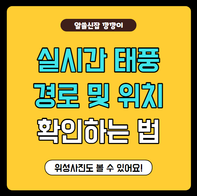  실시간 태풍 경로 및 위치 확인, 위성사진으로 보는 방법