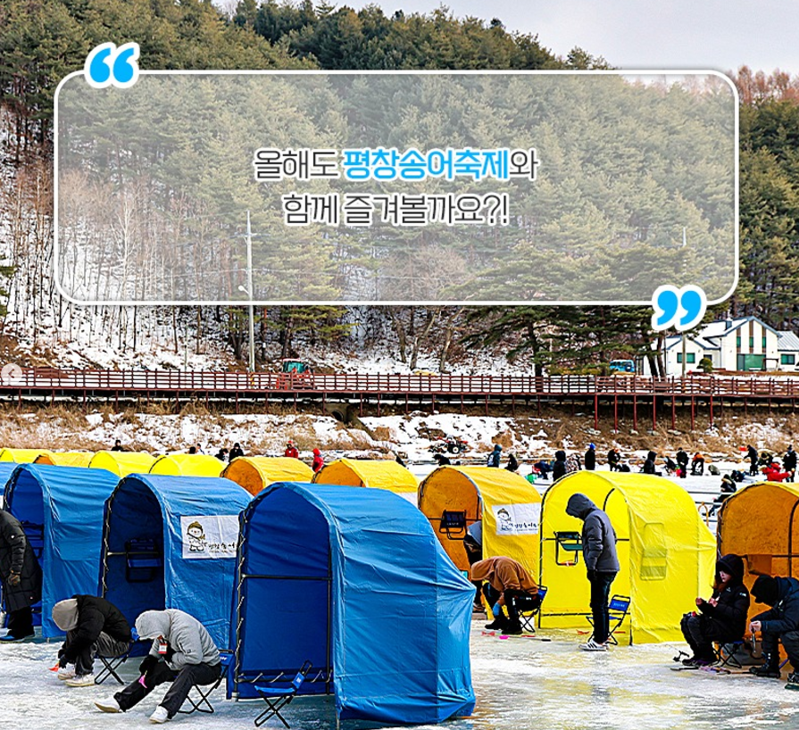 평창 송어 축제