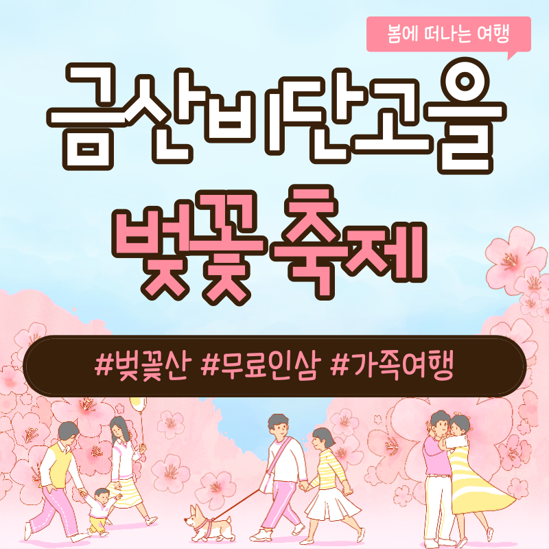 금산 벚꽃 축제 비단고을 벚꽃길