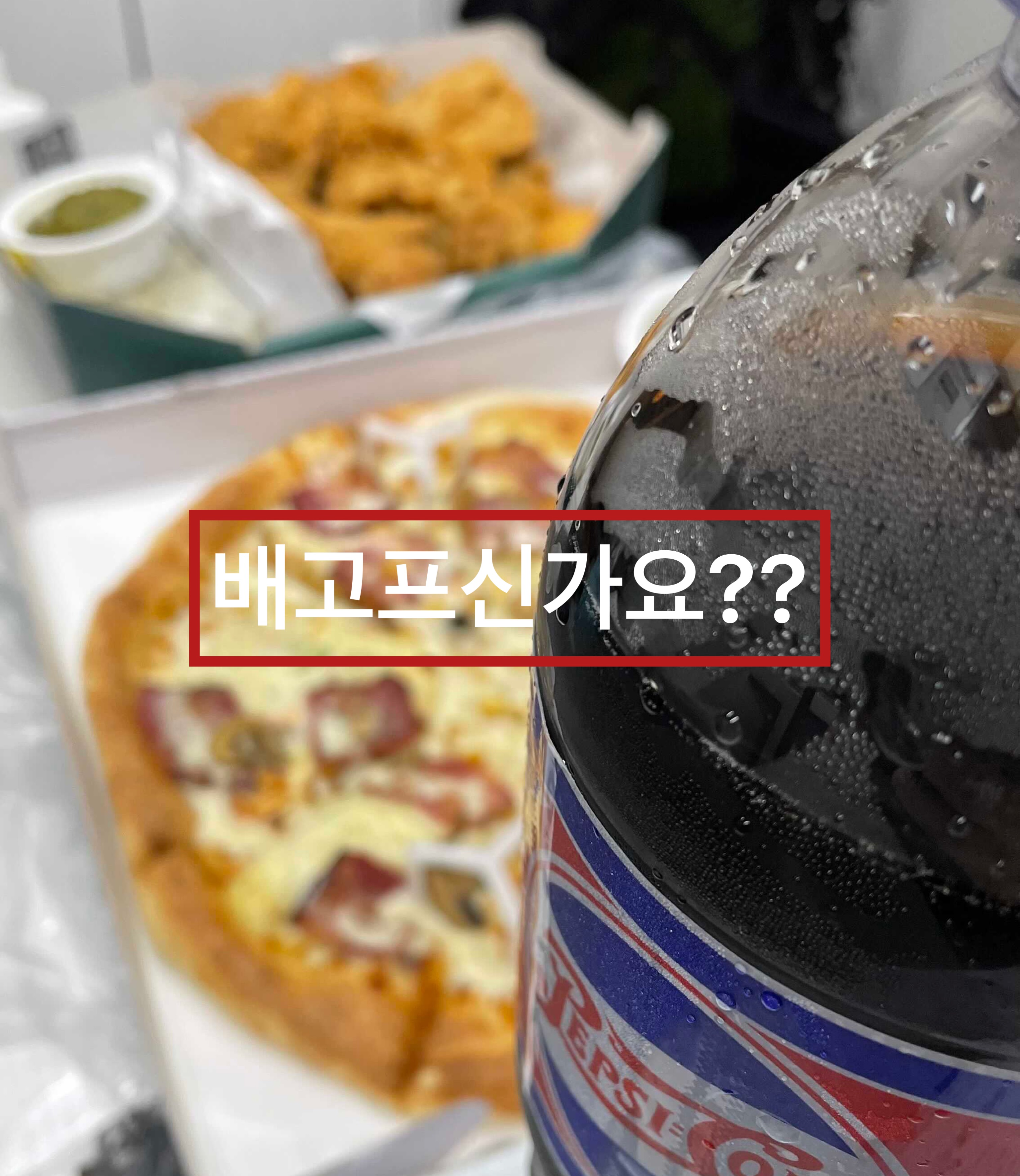  피나치공 세트. 피자나라치킨공주