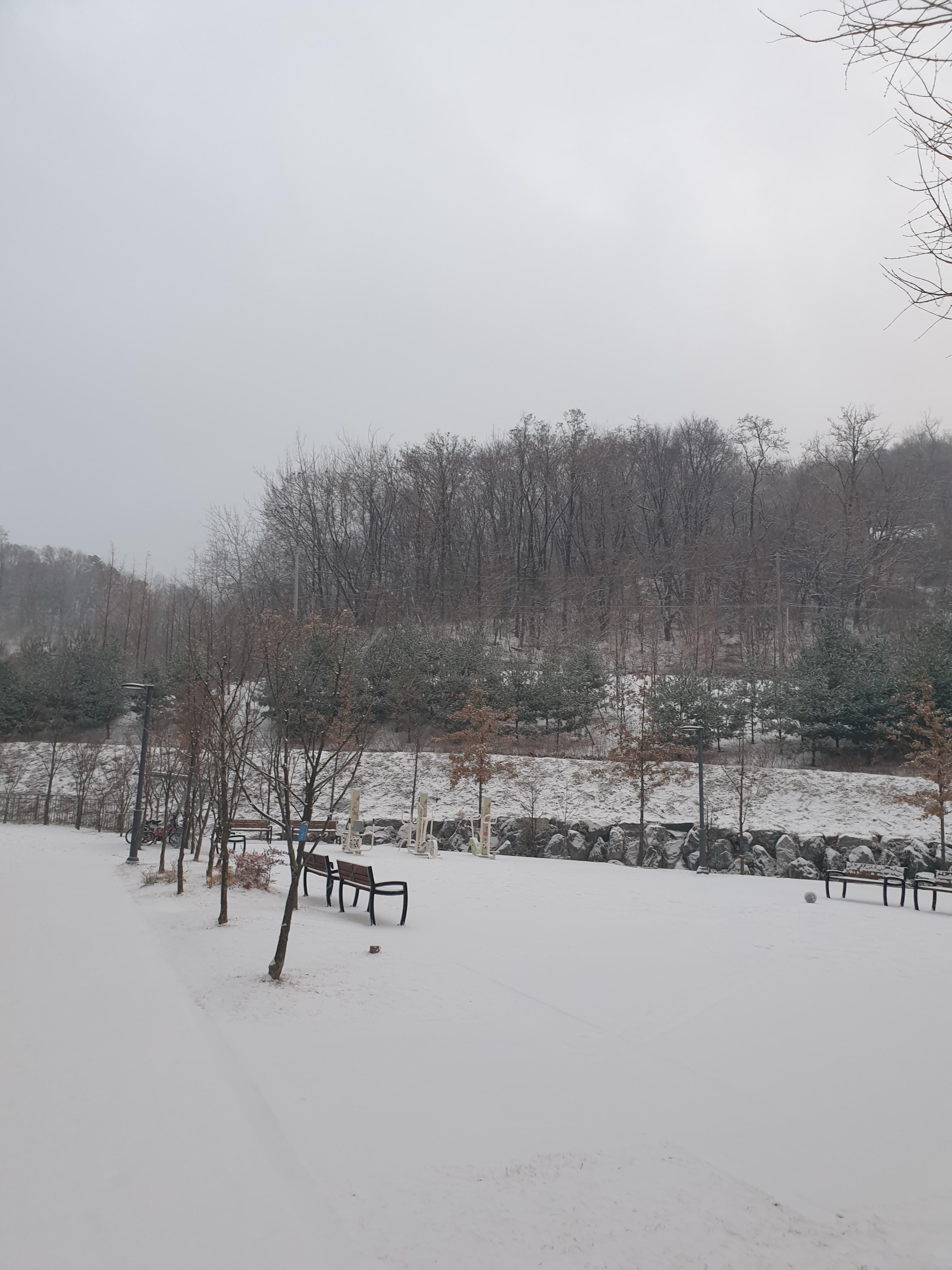 눈오는-날-풍경