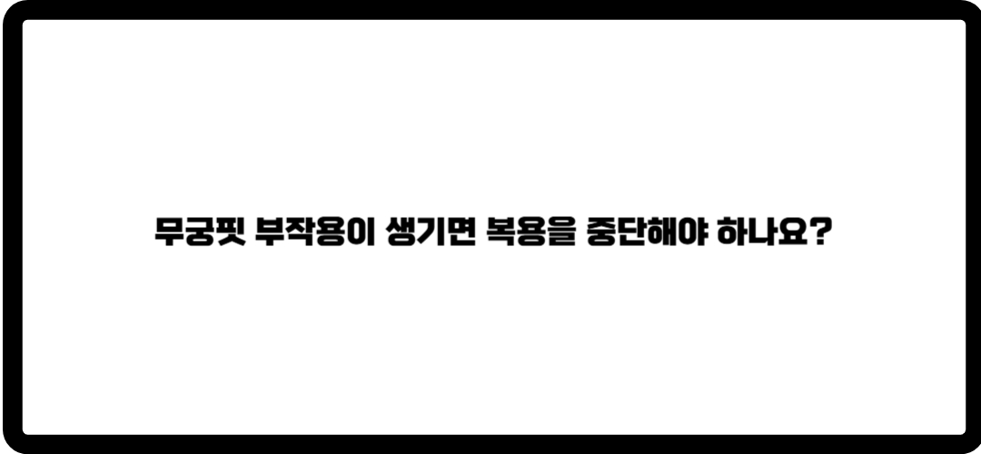 무궁핏