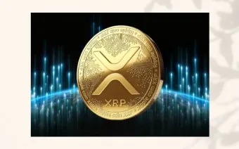 리플 SEC 소송_27