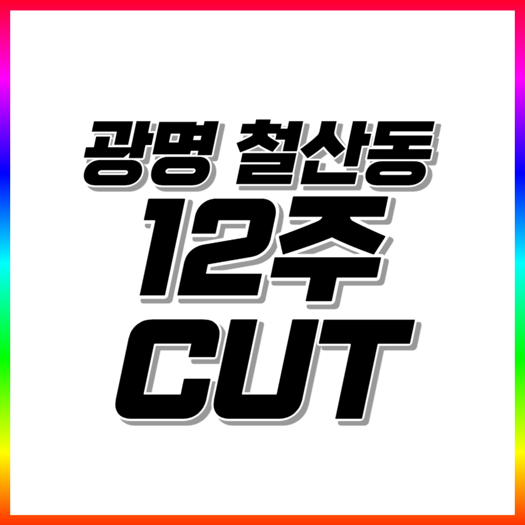  광명 초등 수학과외 철산동 고등 중학생 영어과외 전과목 일대일 맞춤수업 공부법 코칭수업