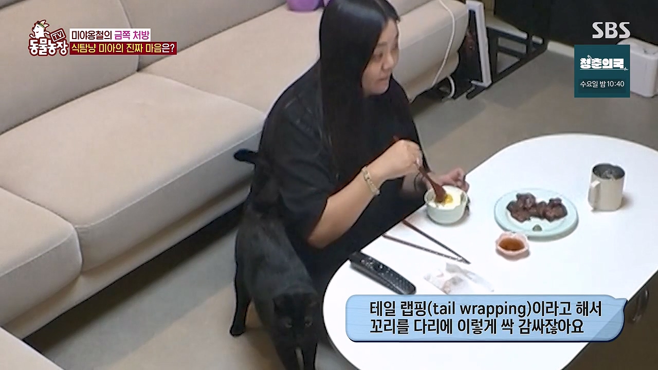 TV 동물농장.E1138.230918p-NEXT.mp4_20230917_172916.866.jpg