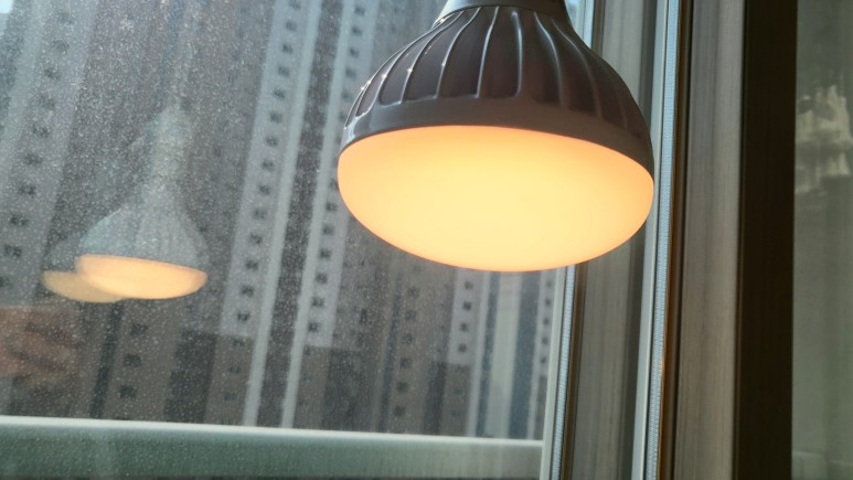 퓨처 그린 식물등으로! 28