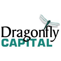 Dragonfly Capital 벤처캐피탈 투자