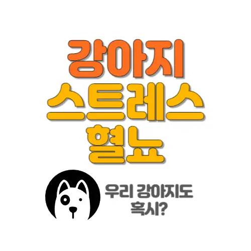 강아지 스트레스 혈뇨