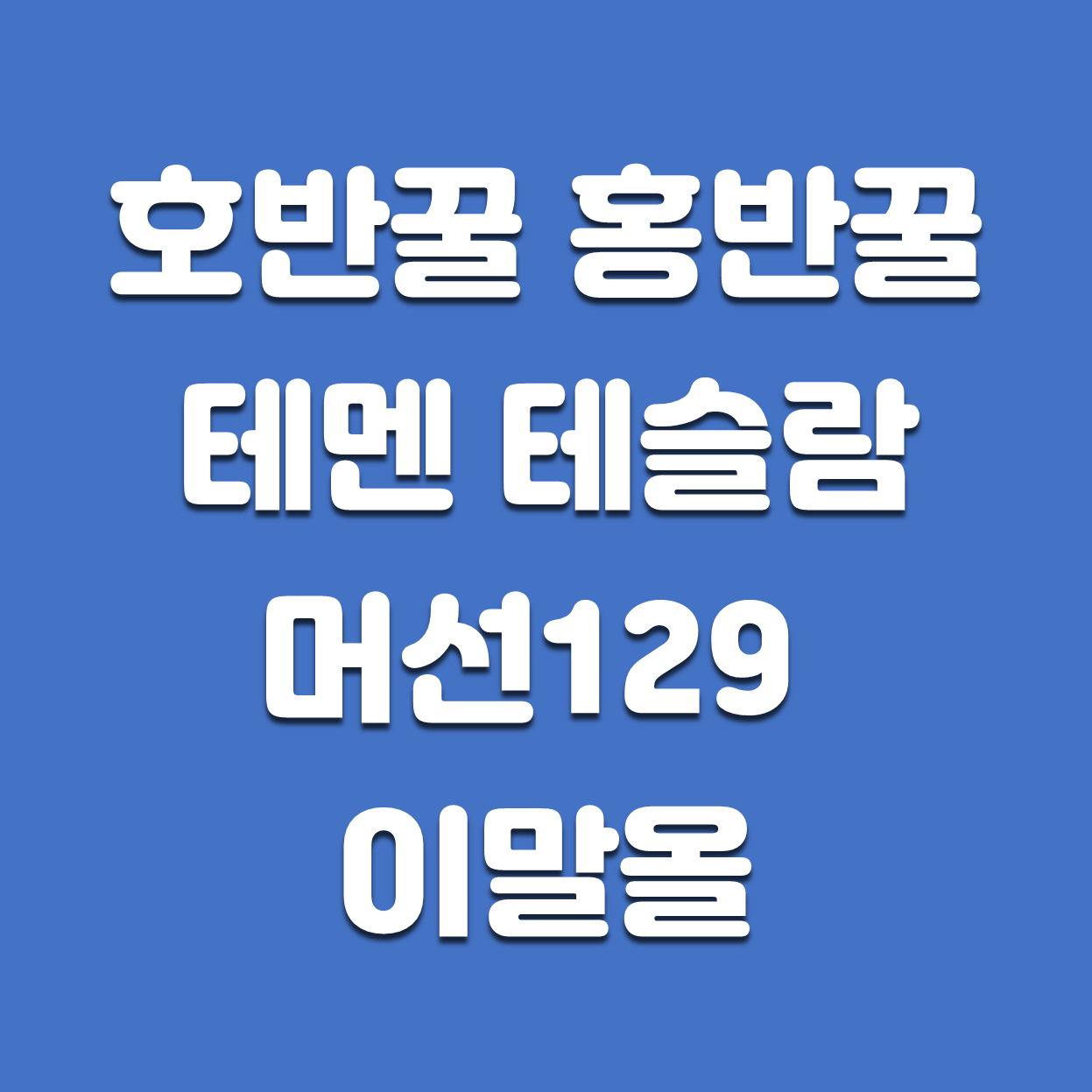  [주식용어] 호반꿀? 머선129? 이말올? 특이한 주식용어 총정리