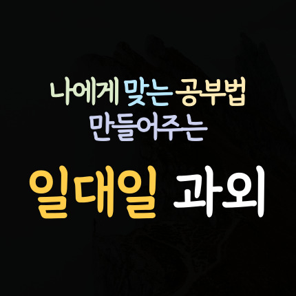  영암 수학과외 영암군 영어과외 초등 중등 고등 국어과외 중학생 내신