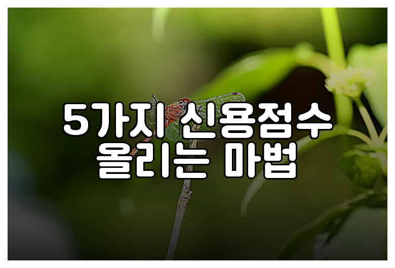 5가지 신용점수 올리는 마법
