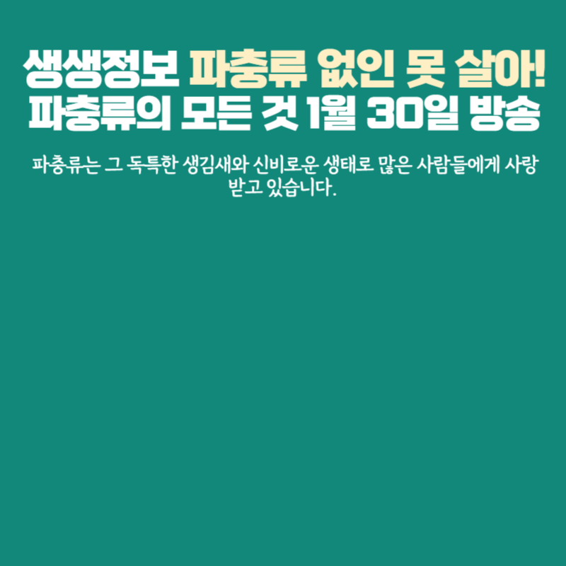 아로스 팝업