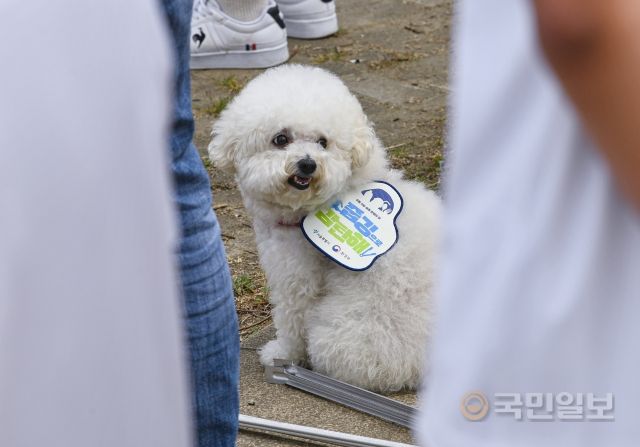  [풀버전] '남들과 다른' 이구역의 인간 비타민들 등장! '김가원,백나린,황수정,박서희,남유주' - 달라달라