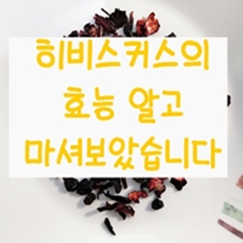  히비스커스의 효능 알고 마셔보았습니다