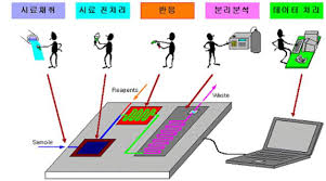 미세유체 기반의 세포 칩