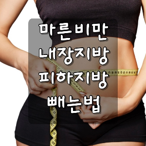 마른비만 내장지방 피하지방 빼는법