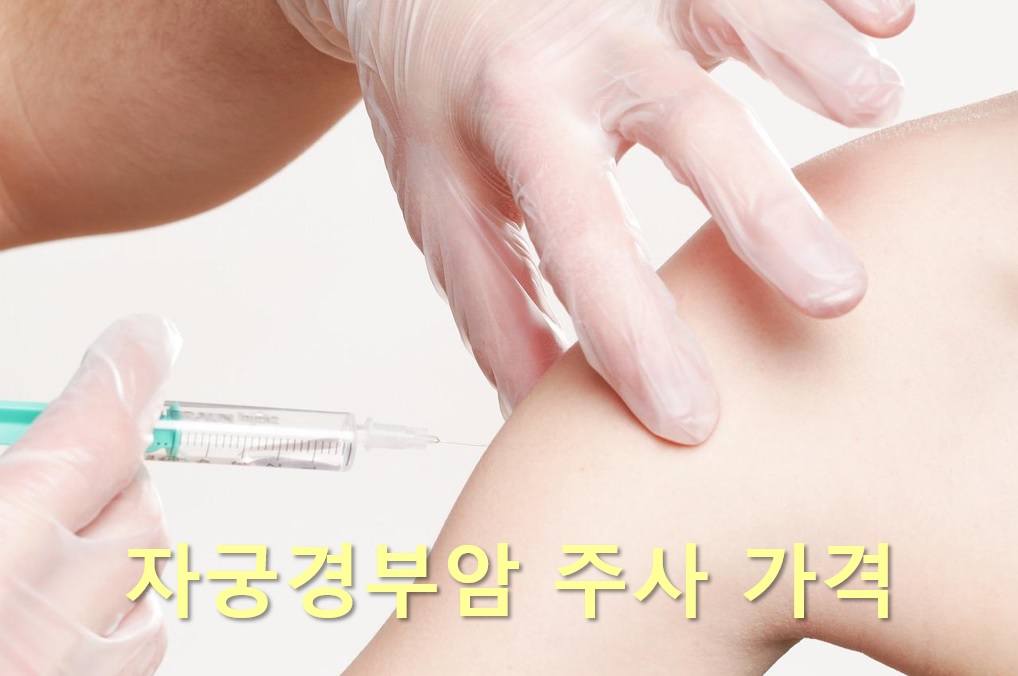  자궁경부암 주사 가격과 자궁경부암 백신 무료 접종 대상