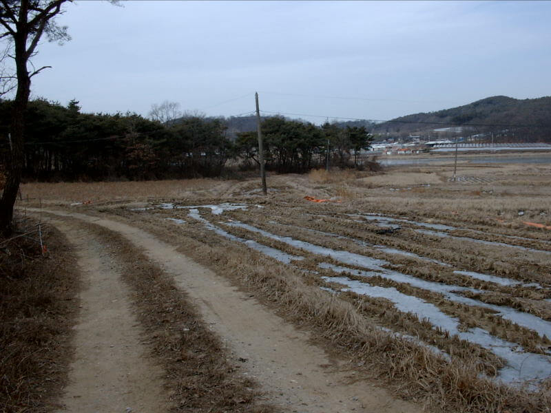 개별공시지가 조회