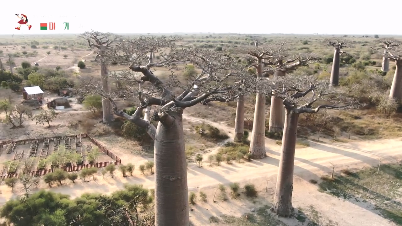 걸어서 세계속으로.E814.231022p-NEXT.mp4_20231022_165107.759.jpg