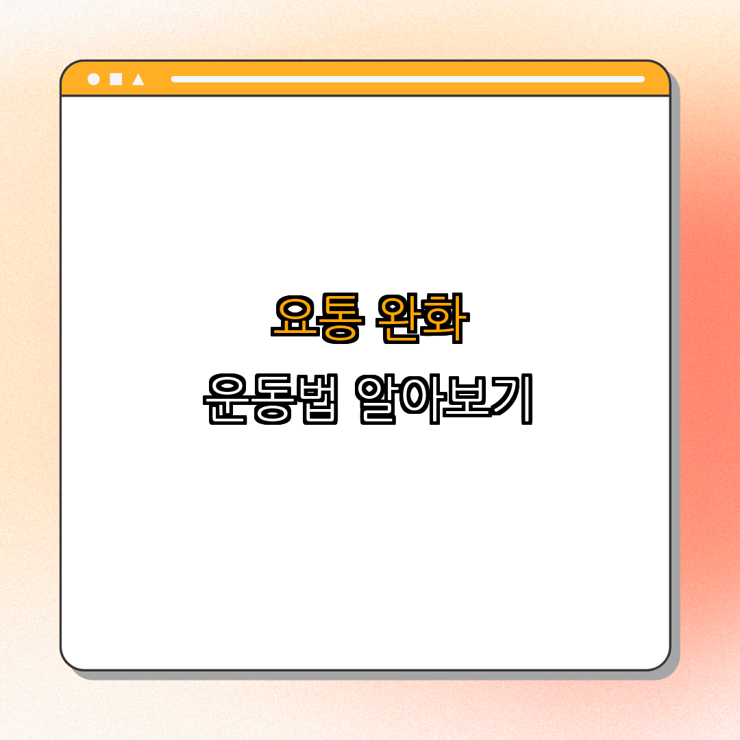 요통을 완화하는 운동과 스트레칭 방법 ｜ 집에서 할 수 있는 운동 ｜ 요통 예방 ｜ 척추 건강 ｜ 통증 완화 ｜ 총정리