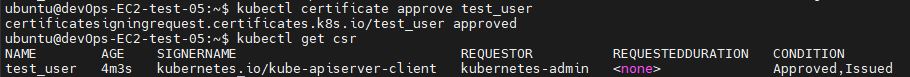 kubectl certificate approve &lt;user&gt;