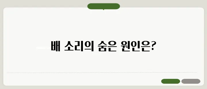 배에서 꼬르륵 소리 나는 이유와 해결법