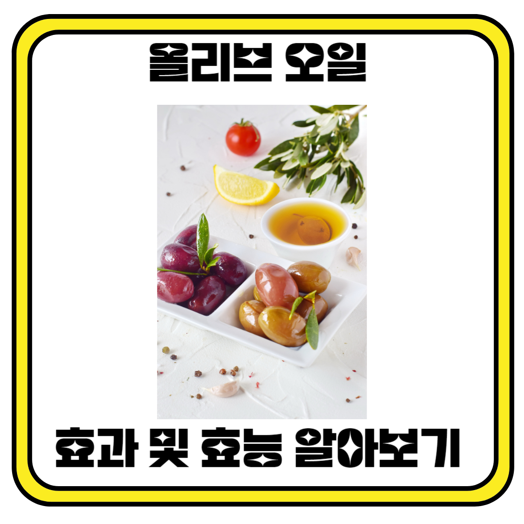 올리브 오일 효과 및 효능 알아보기