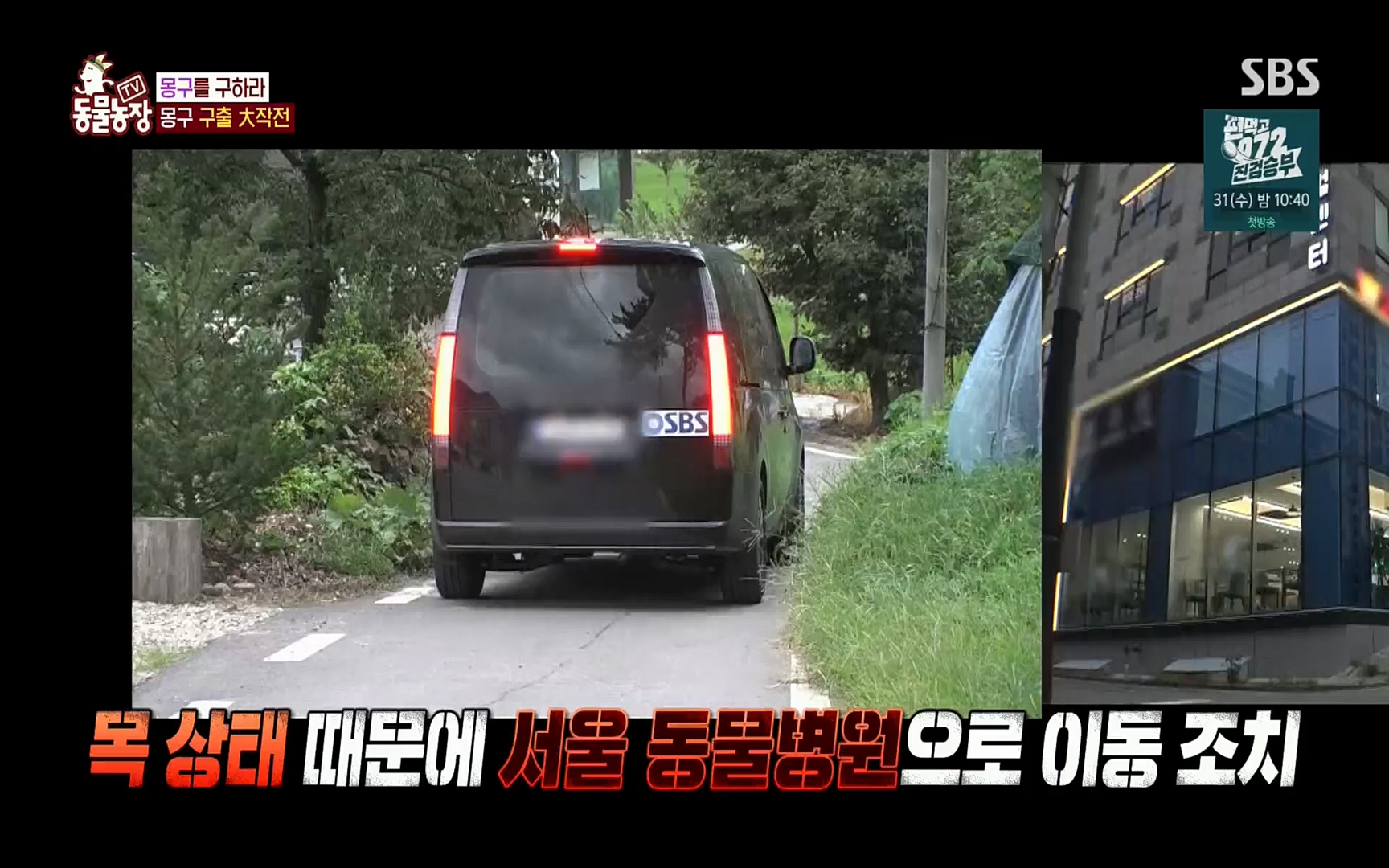 TV 동물농장.E1084.220828p.H264-F1RST.mp4_20220828_154102.492.jpg