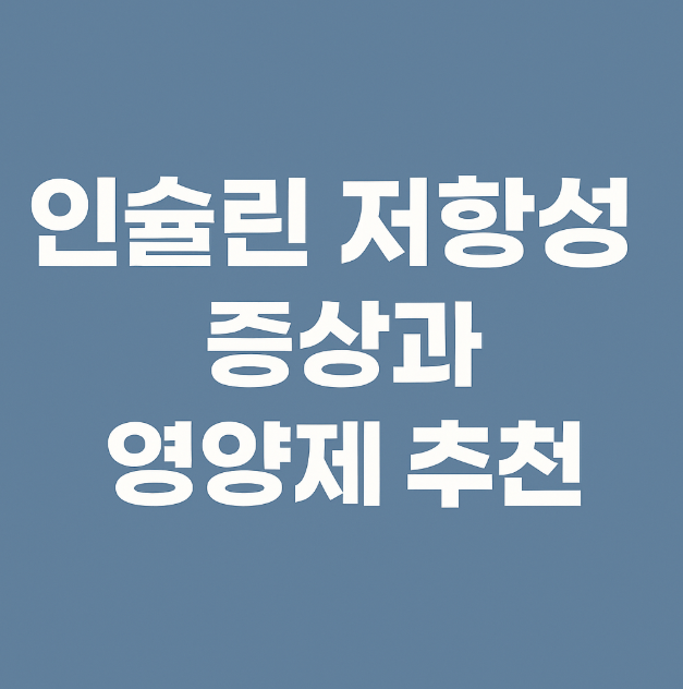 인슐린 저항성 원인과 증상, 개선방법, 인슐린 저항성 영양제 추천