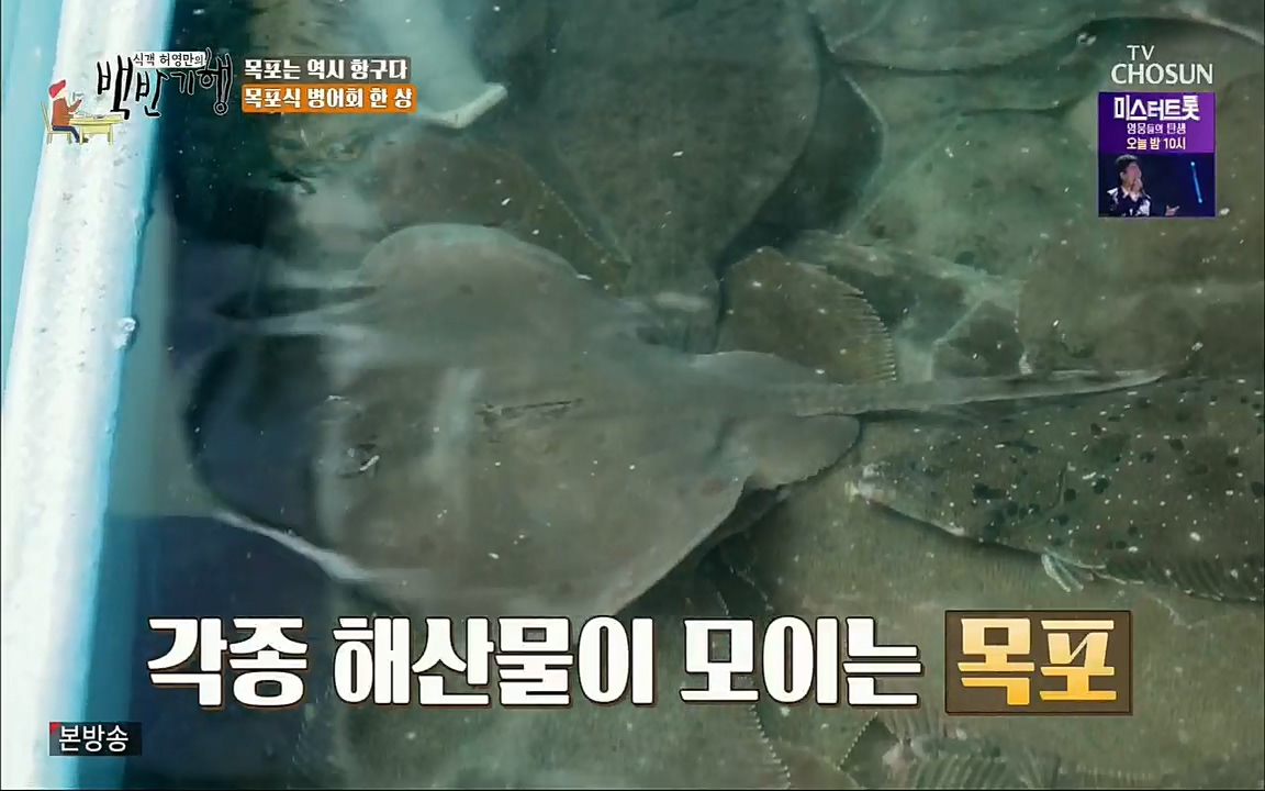 식객 허영만의 백반기행.E164.220813p.H264-F1RST.mp4_20220813_173544.725.jpg