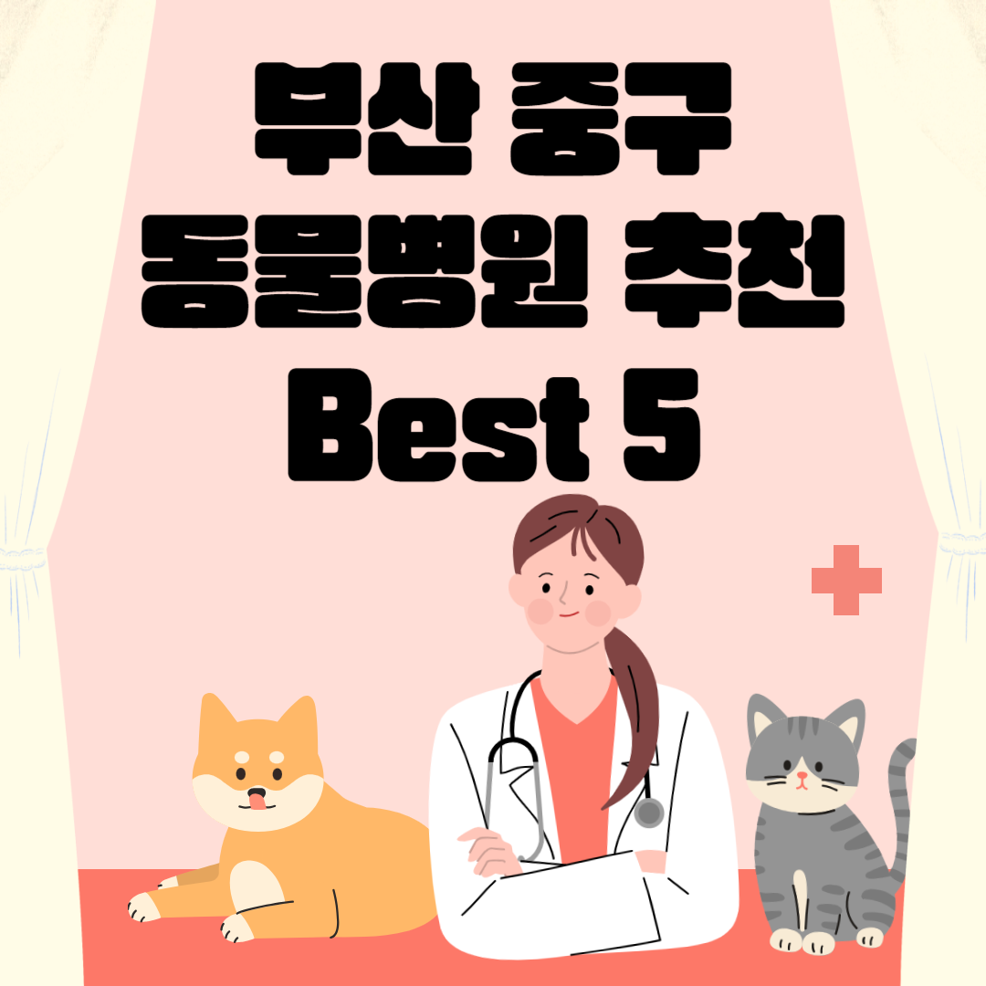 부산 중구 동물병원 추천 Best 5 ㅣ24시간 동물병원ㅣ비용ㅣ반려동물 의료비 지원 50만원 블로그 썸내일 사진