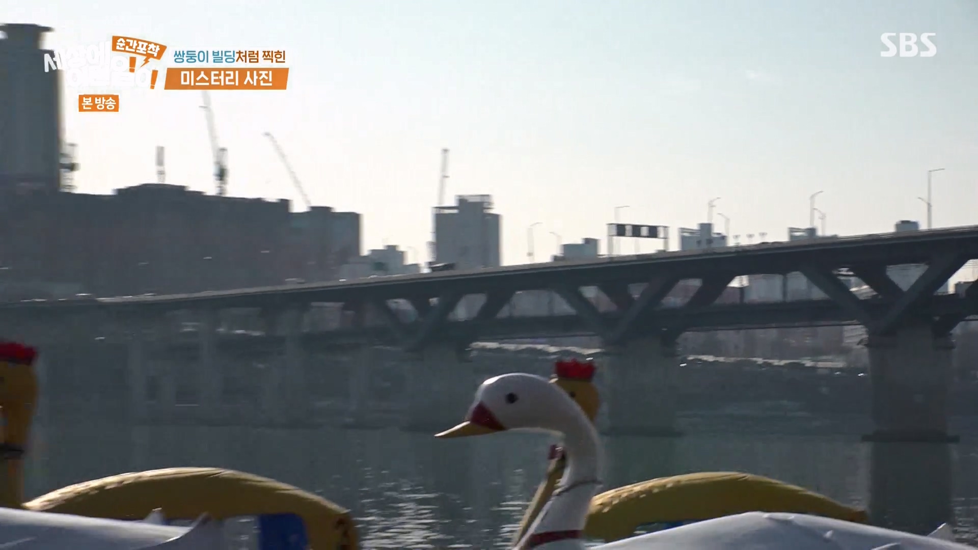 순간포착 세상에 이런일이.E1263.240203p-NEXT.mp4_20240204_162943.057.jpg