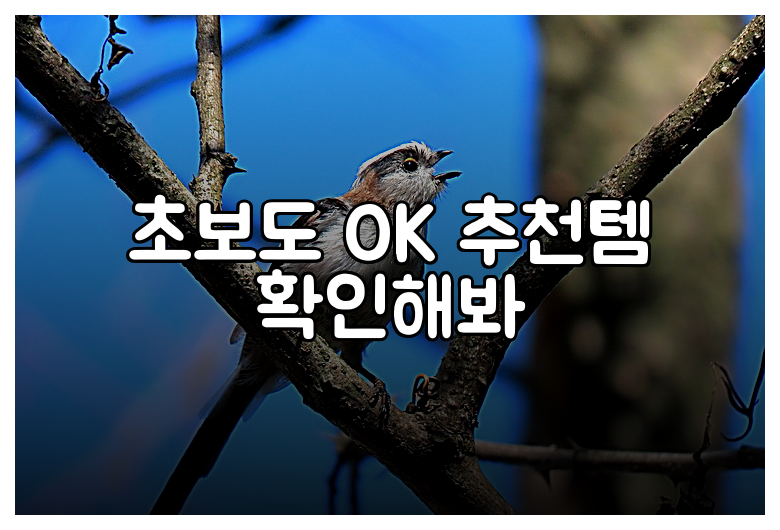 초보도 OK 추천템 확인해봐