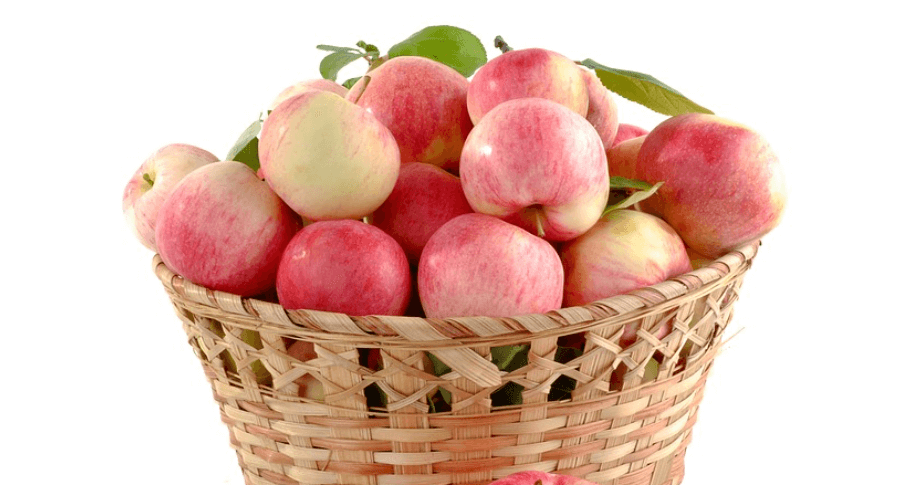 바구니에 담겨져 있는 여러개의 사과