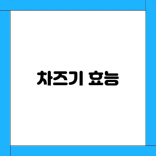 차즈기 효능, 부작용 및 먹는법