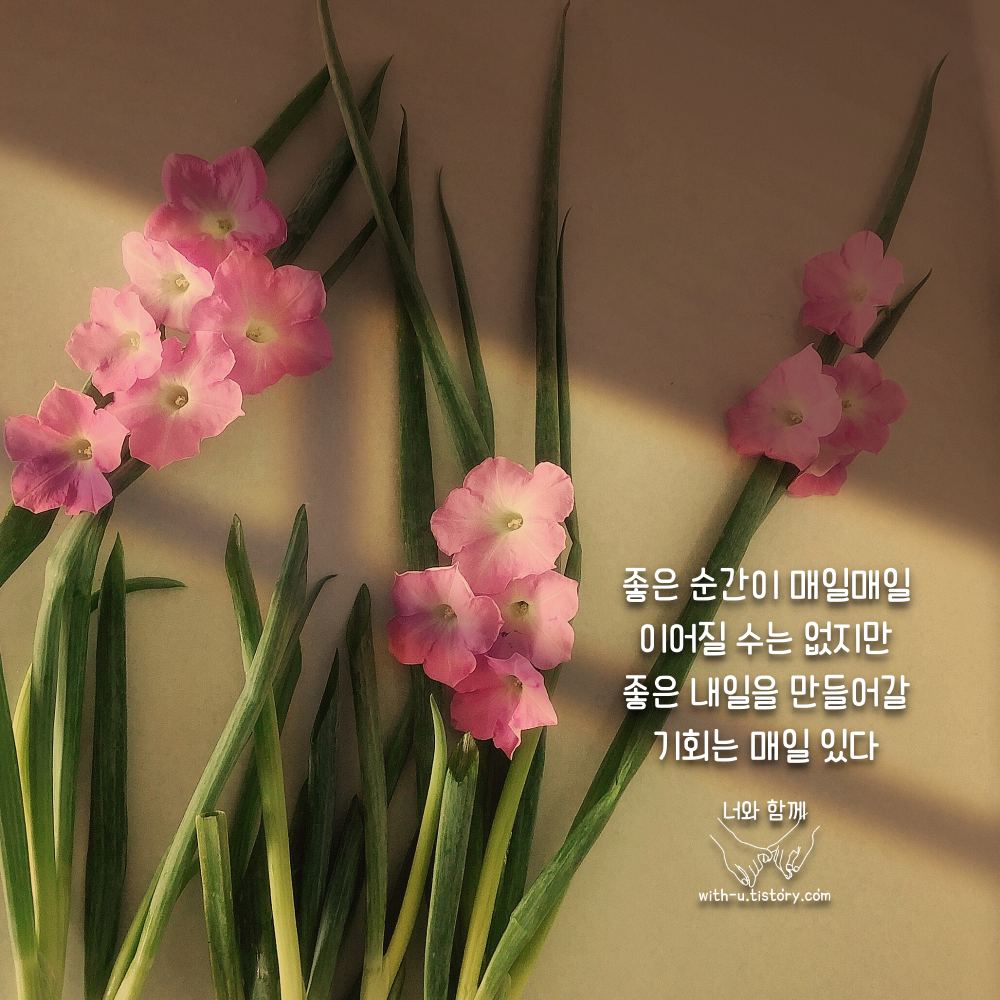  무한 명언 : 짧고 좋은 글귀 : 짧은 명언